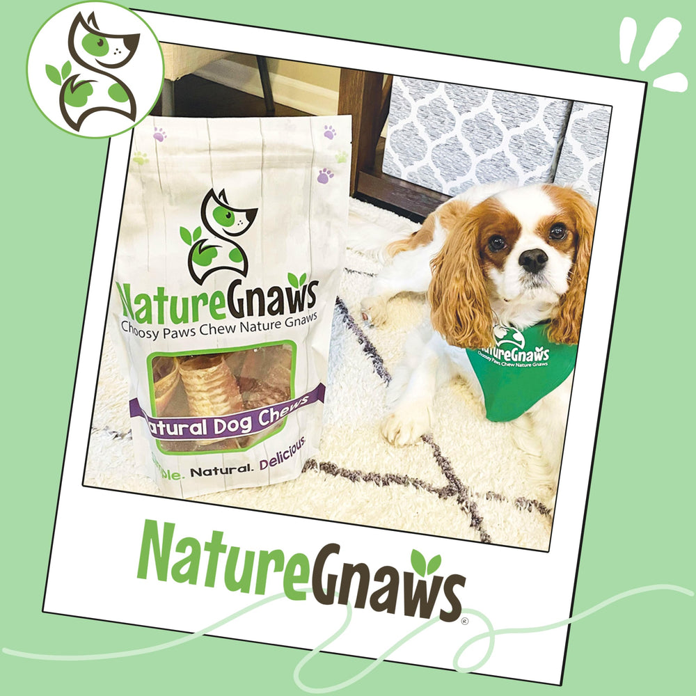 Nature Gnaws trachée de boeuf pour chiens, aide potentielle à dentition et haleine fraîche.