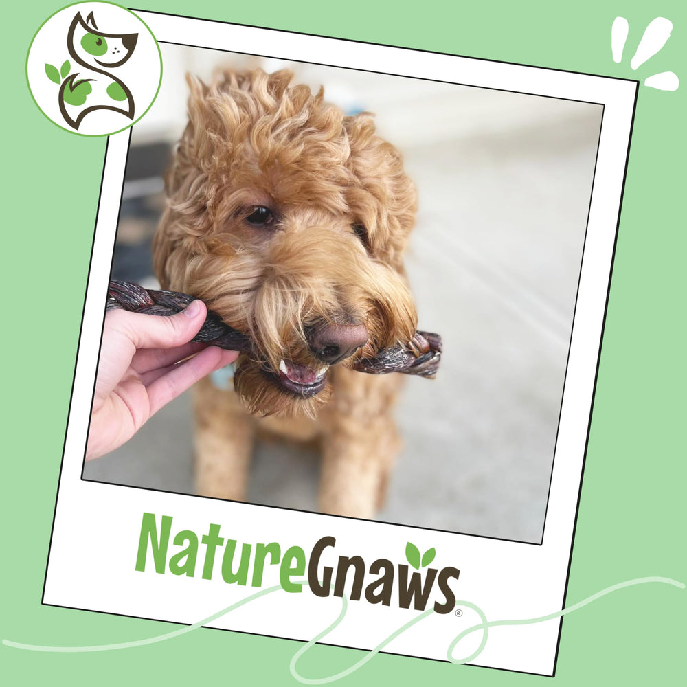 Nature Gnaws trenzas-res entrelazadas, alternativa natural al cuero crudo.