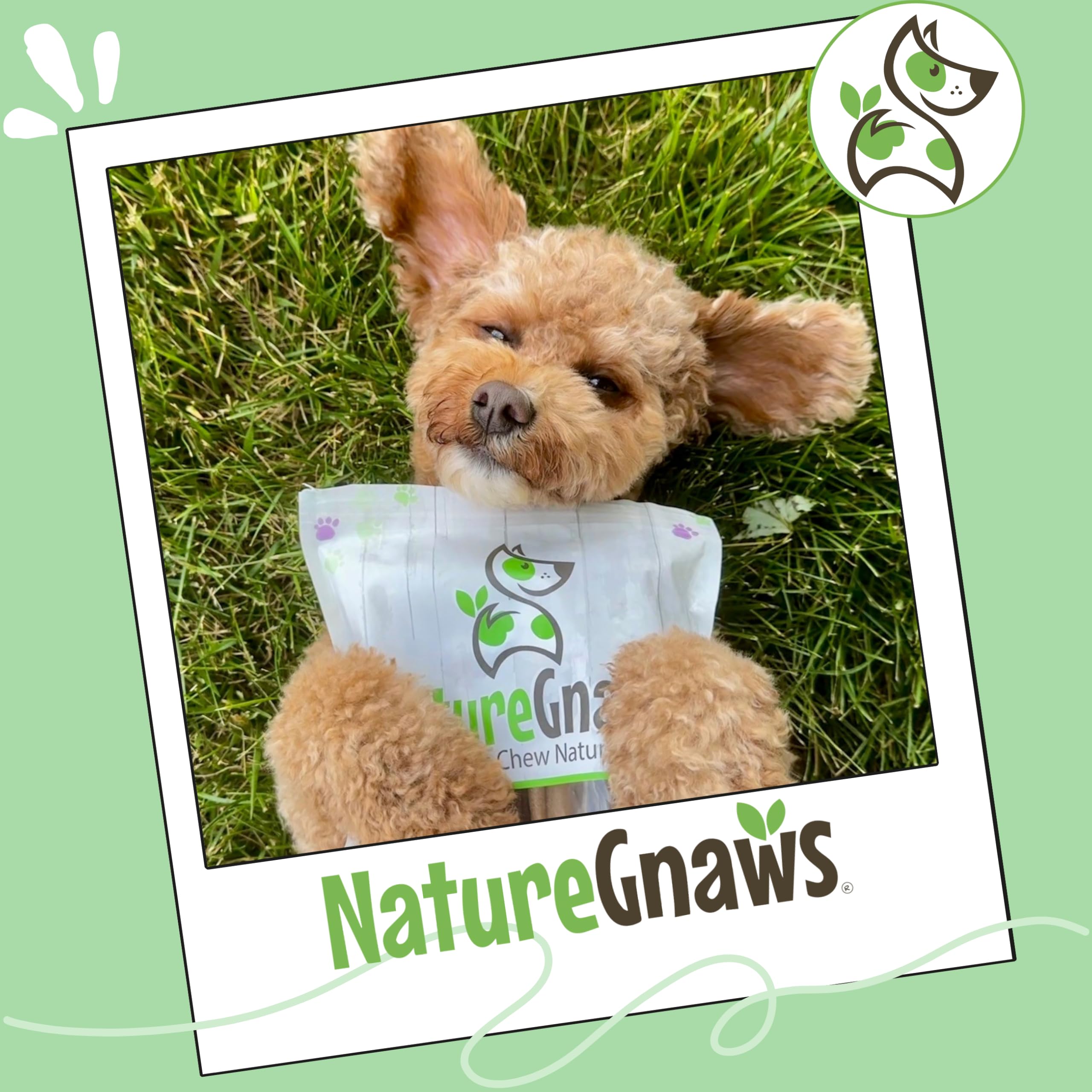 Nature Gnaws trenzas-res entrelazadas, aroma natural que atrae al perro.