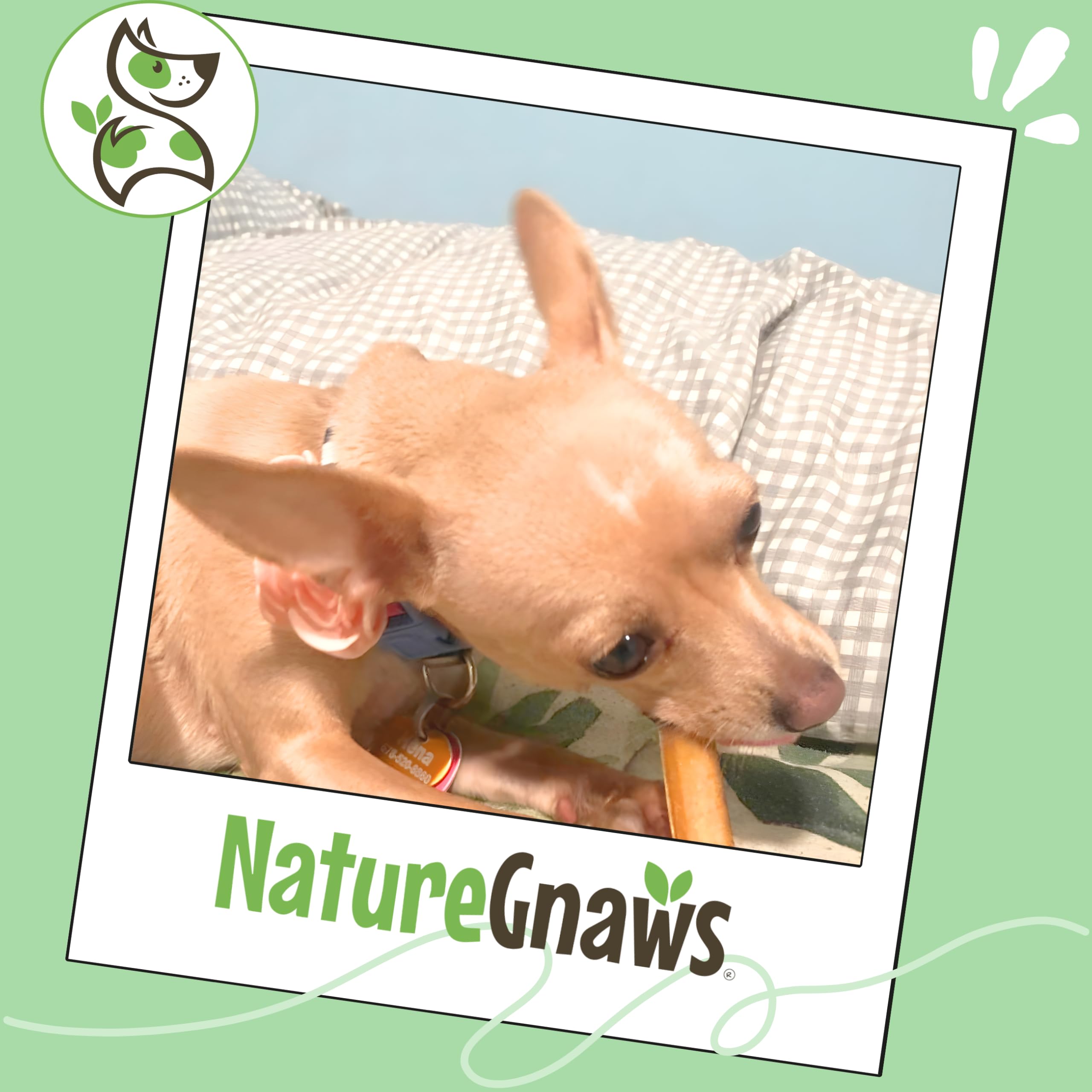 Nature Gnaws trozos bully sabor carne, ideal como premio sabroso.
