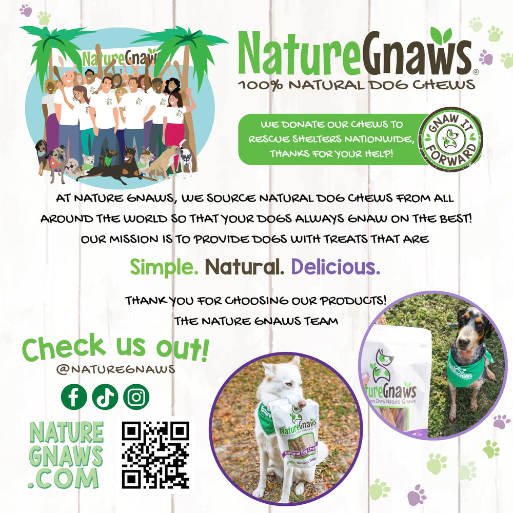 Nature Gnaws Bully Ring: pack de 5 anillos, uso diario seguro.