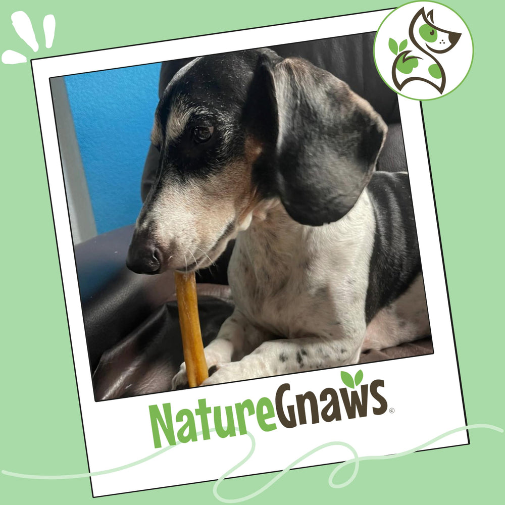 Nature Gnaws uso diario para perros, entretenimiento constante.