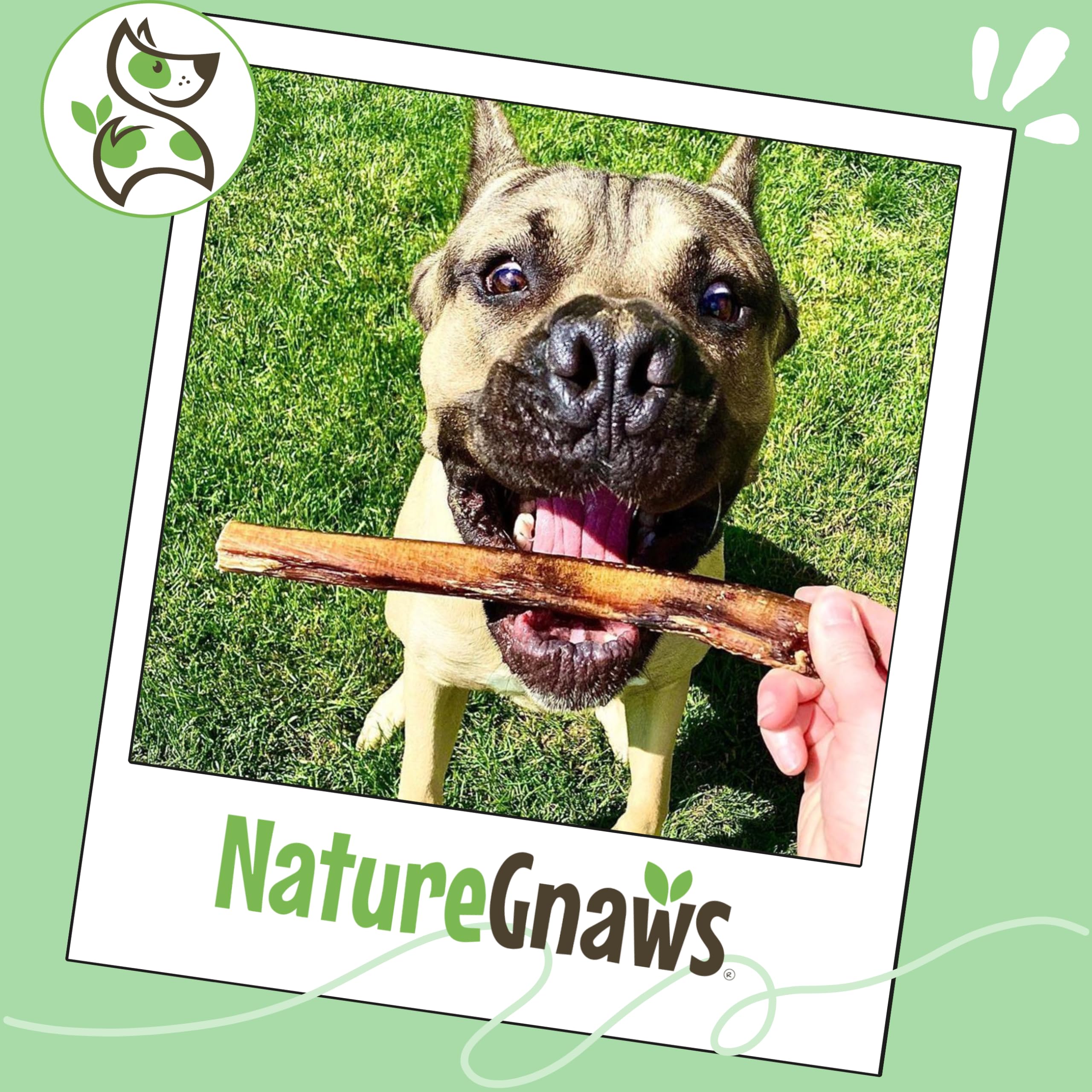 Nature Gnaws ideal para entrenamiento y entretenimiento diario