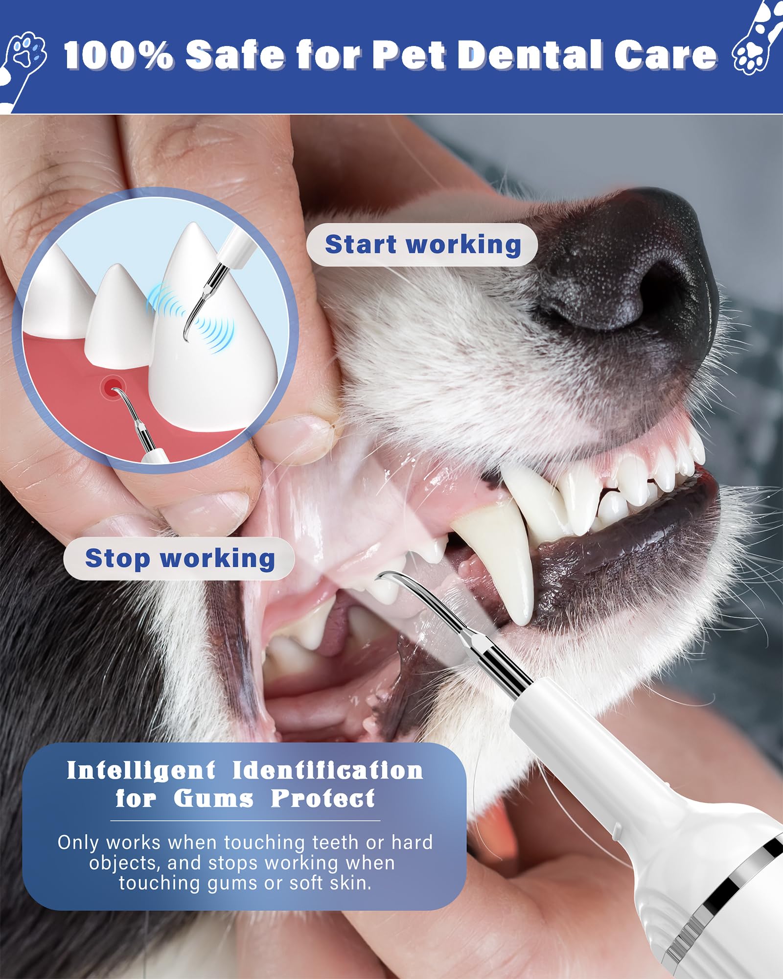 Nature Nerds Kit de cepillado dental para mascotas facilita el cuidado en casa.
