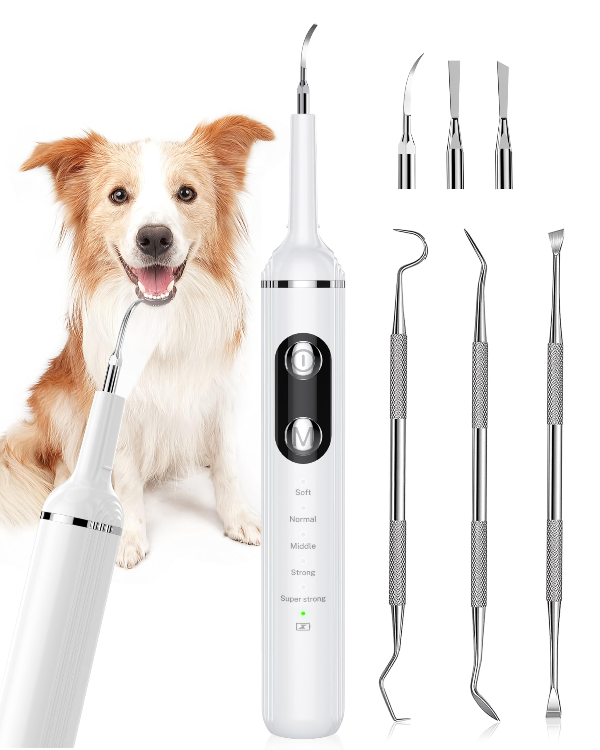Nature Nerds Plaque Remover ilumina la limpieza dental de mascotas con luz LED.