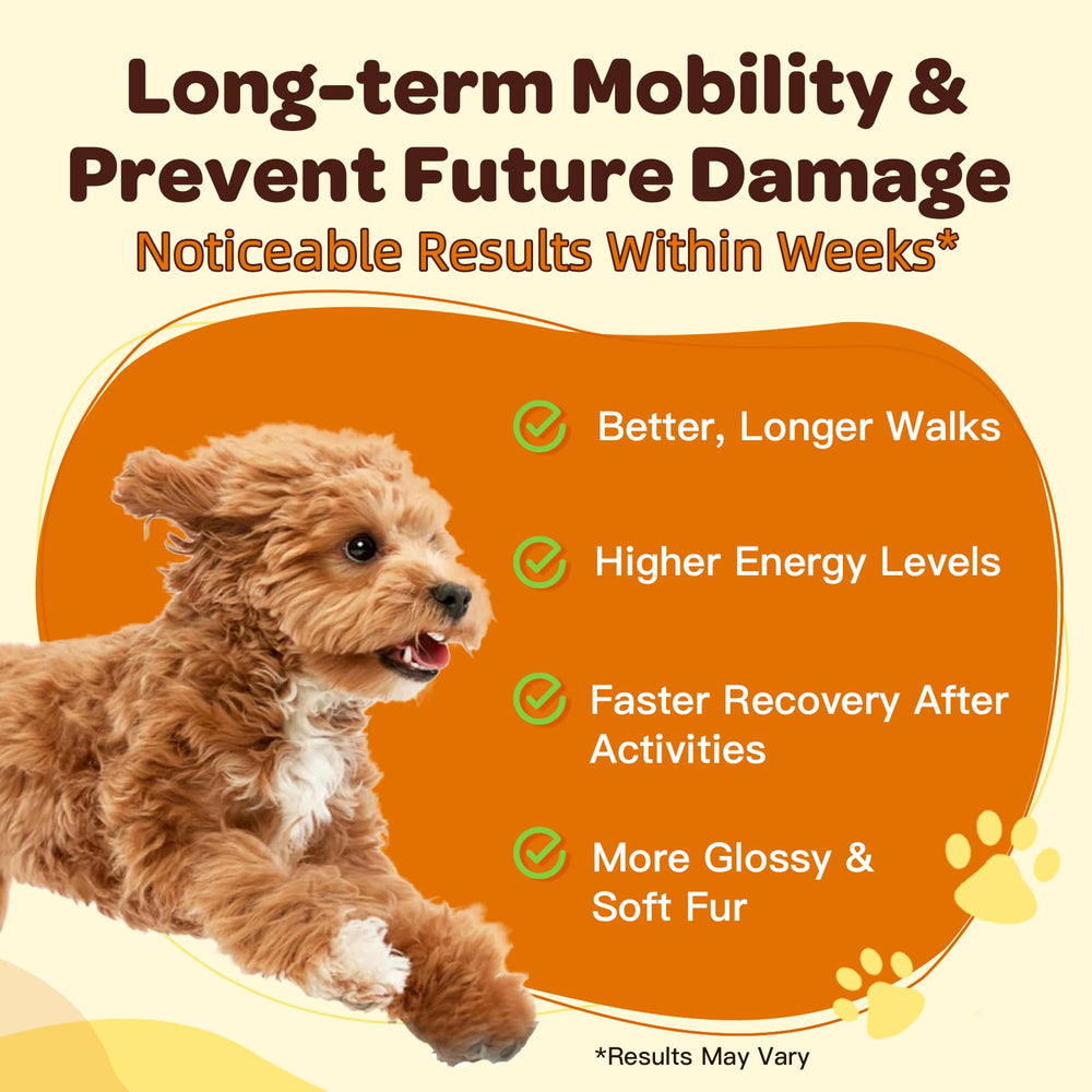 Nature Target digestibilidad para cachorros y mayores, fácil de consumir.