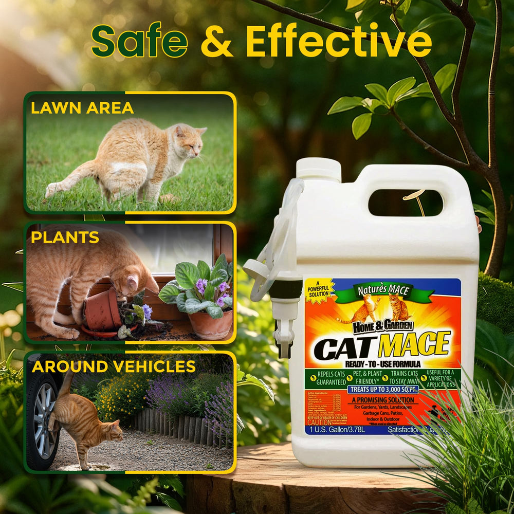 Nature's MACE Cat Repelente: aplicación exterior en áreas ajardinadas