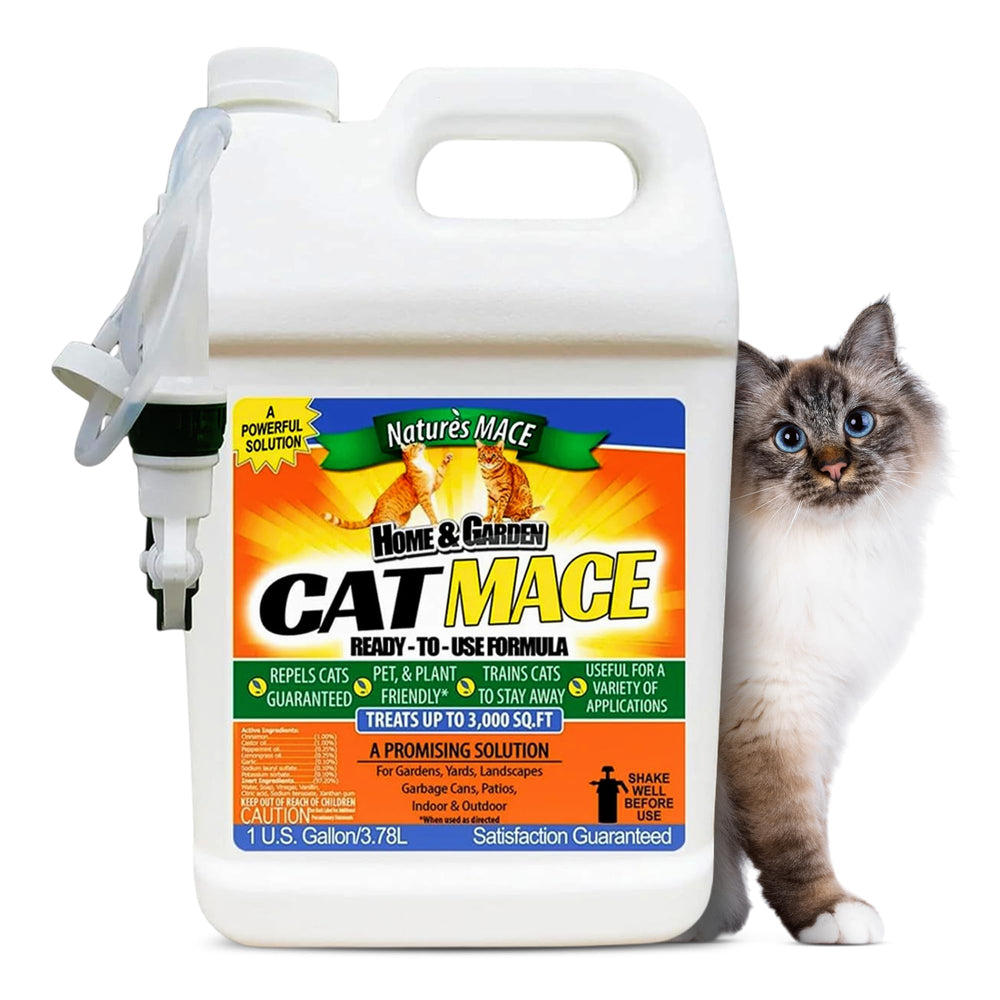 Nature's MACE Cat Repelente: botella de 1 galón lista para usar en exteriores