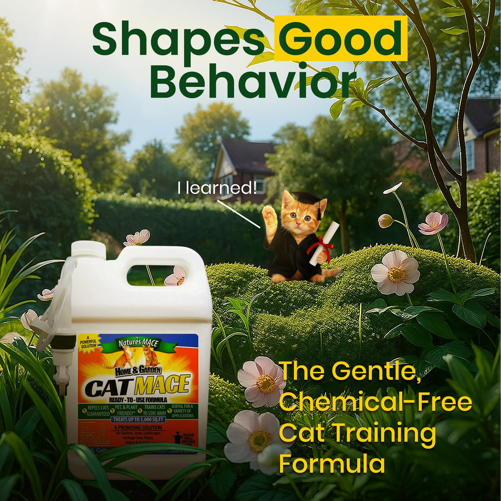 Nature's MACE Cat Repelente: cobertura hasta 3,000 pies cuadrados para jardines