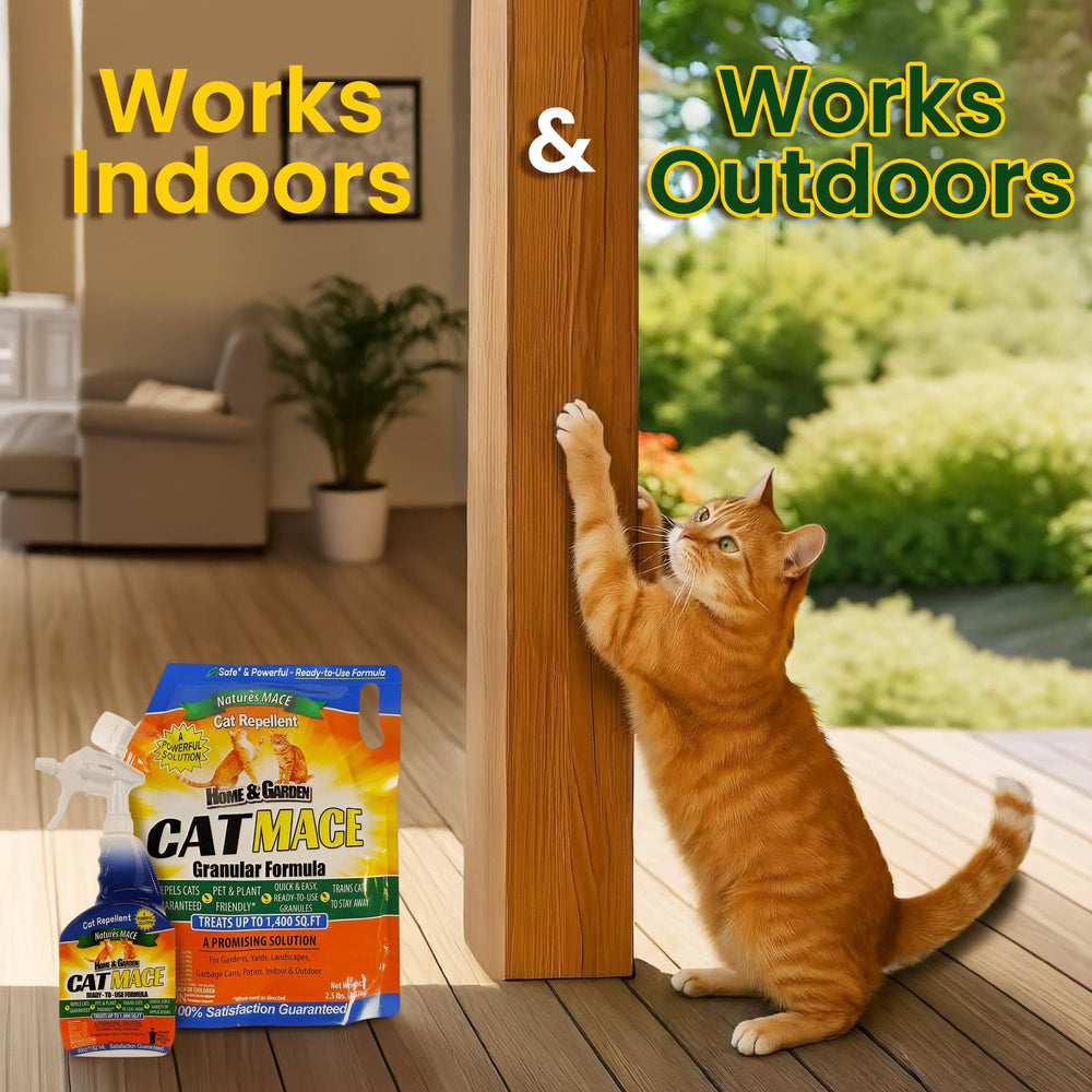 Nature's MACE Cat Mace: protección interior de muebles contra arañazos