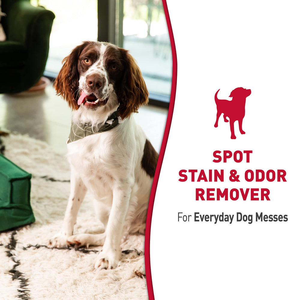 Nature's Miracle Seguridad para mascotas: uso seguro alrededor de perros y hogar