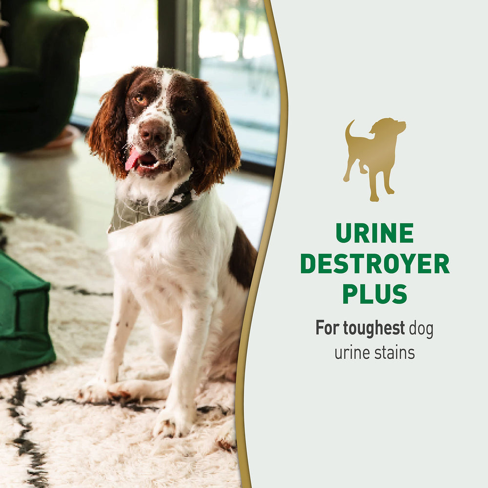 Nature’s Miracle Urine Destroyer Plus – traitement en profondeur des résidus urinaires.