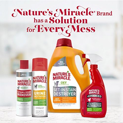 Nature's Miracle: seguro para mascotas y hogar cuando se usa indicado.