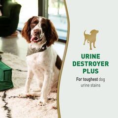 Nature’s Miracle Urine Destroyer Plus, application ciblée sur taches, action enzymatique contre les odeurs.