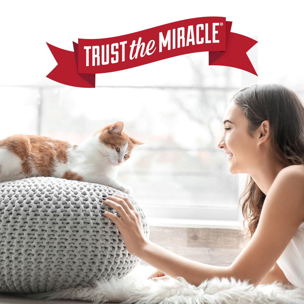 Nature’s Miracle Urine Destroyer Plus – sécurité autour des animaux quand utilisé selon les indications.
