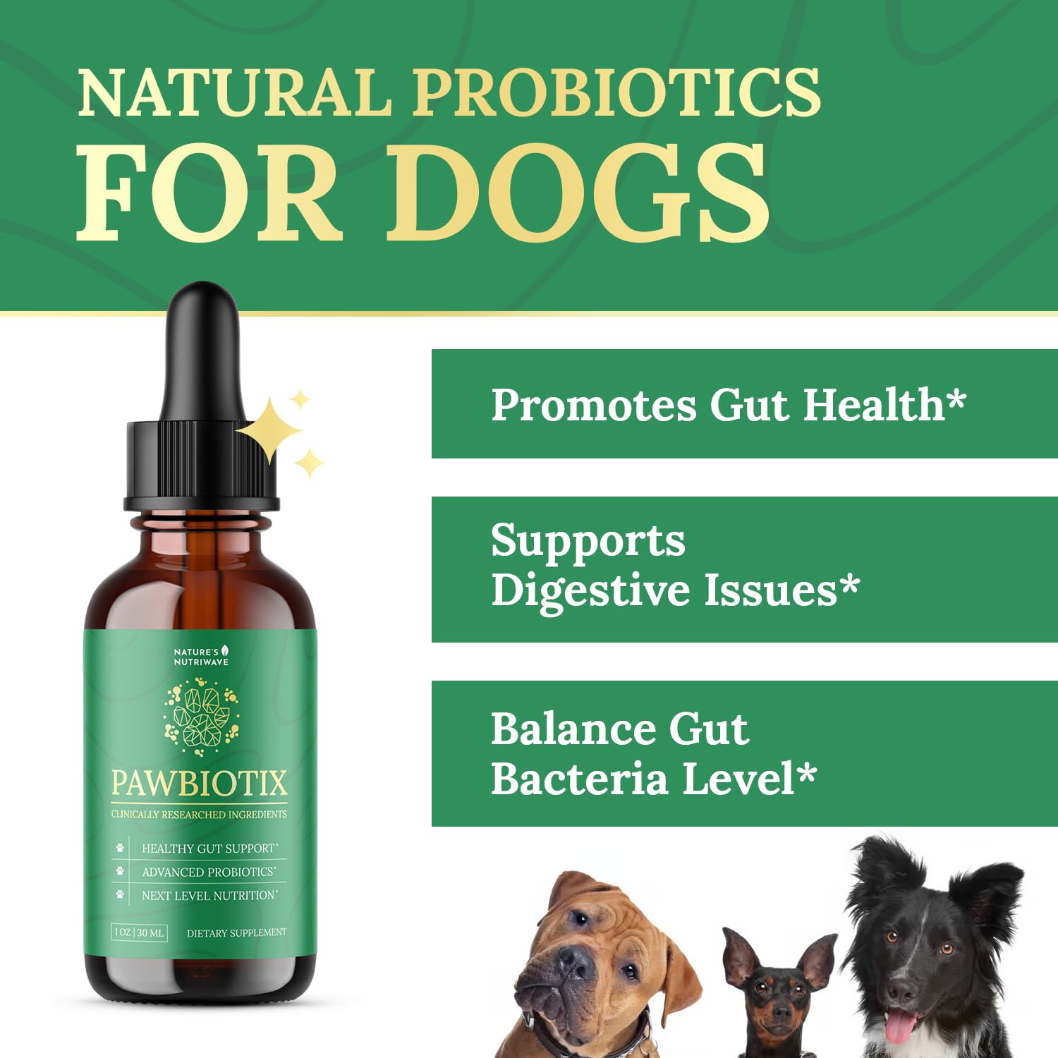 Pawbiotix, gotas en dispensador para dosis diarias y bienestar intestinal canino.