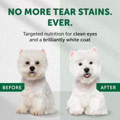 Nature's Protection: croquetas de tamaño pequeño para perros pequeños, textura crujiente para masticar