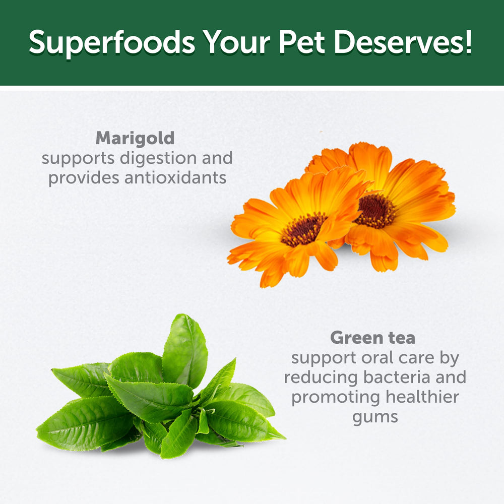Nature's Protection Dental Chews uso diario para perros de diferentes tamaños