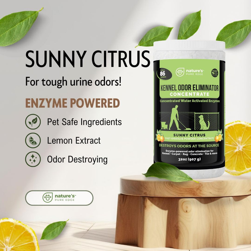 Nature's Pure Edge polvo enzimático limpia múltiples superficies sin daño