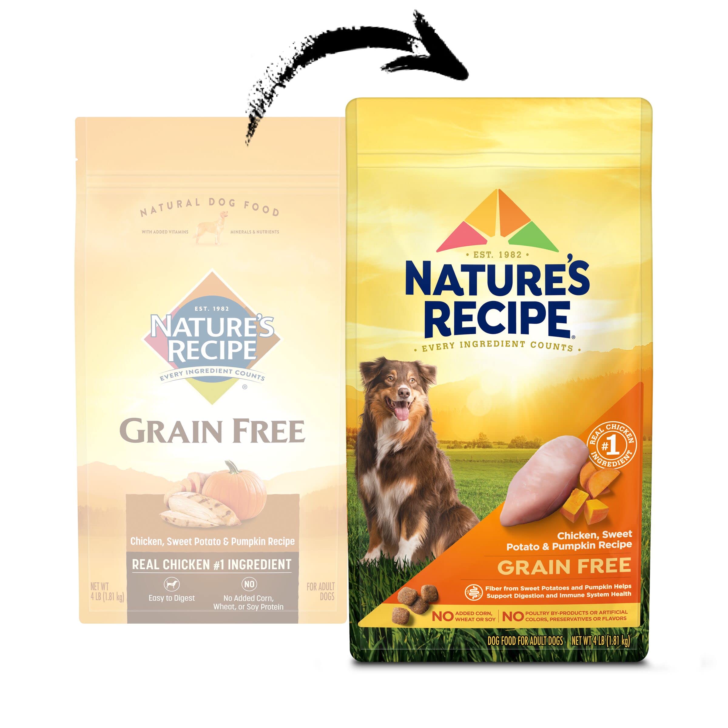 Nature's Recipe calabaza digestiva: fibra natural para apoyo digestivo