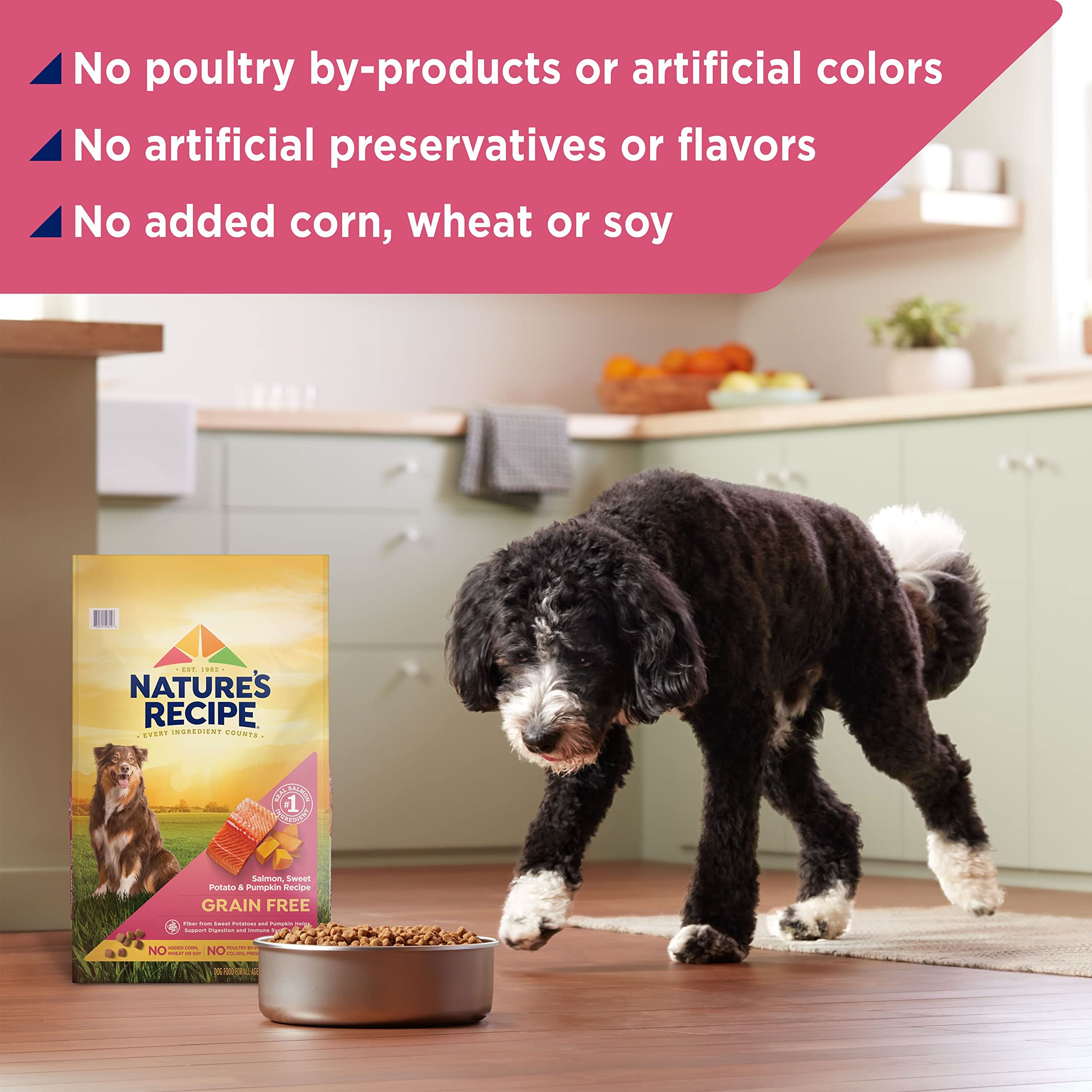 Nature's Recipe fibra digestiva de batata y calabaza para perros