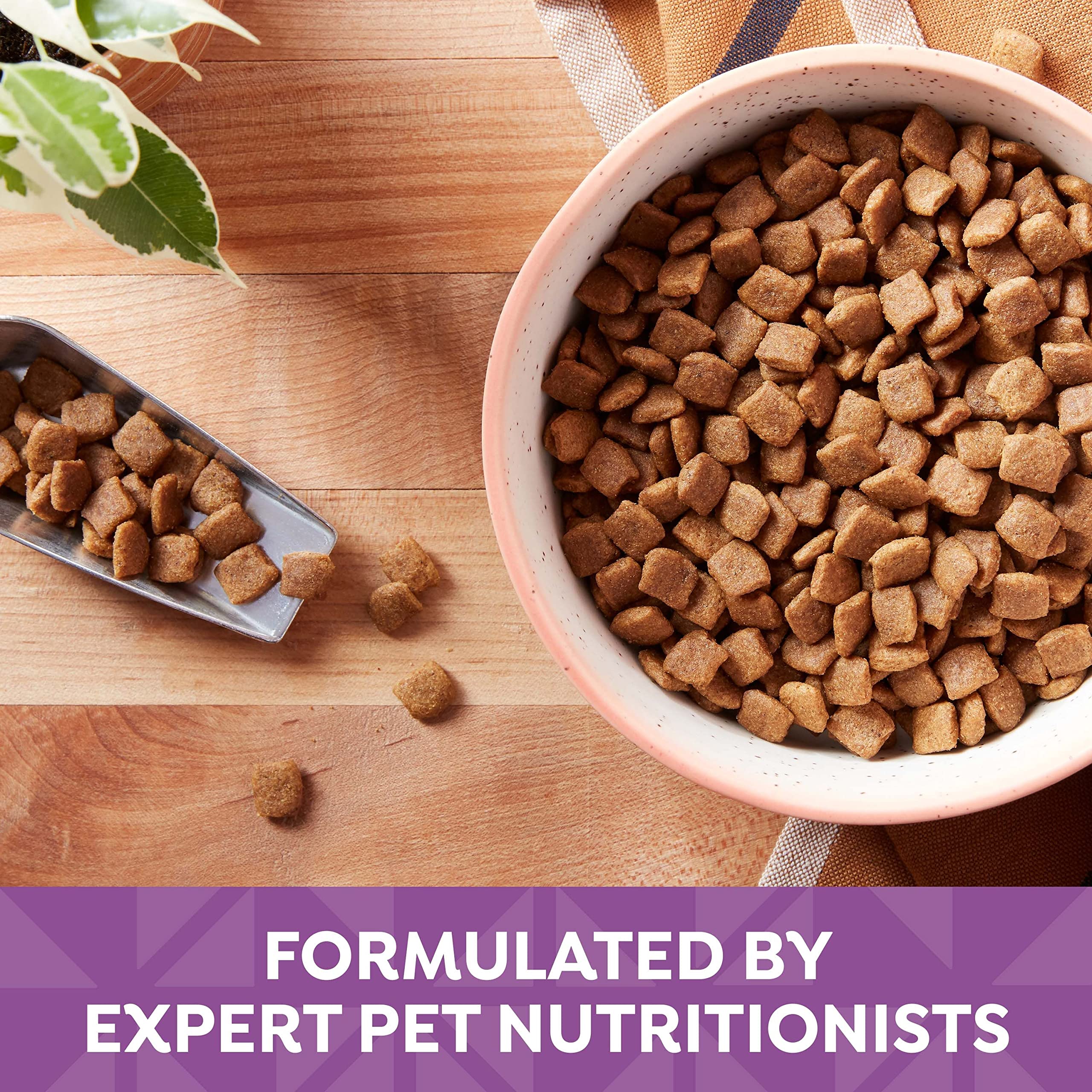 Nature's Recipe: omega-6 para piel y pelaje saludables