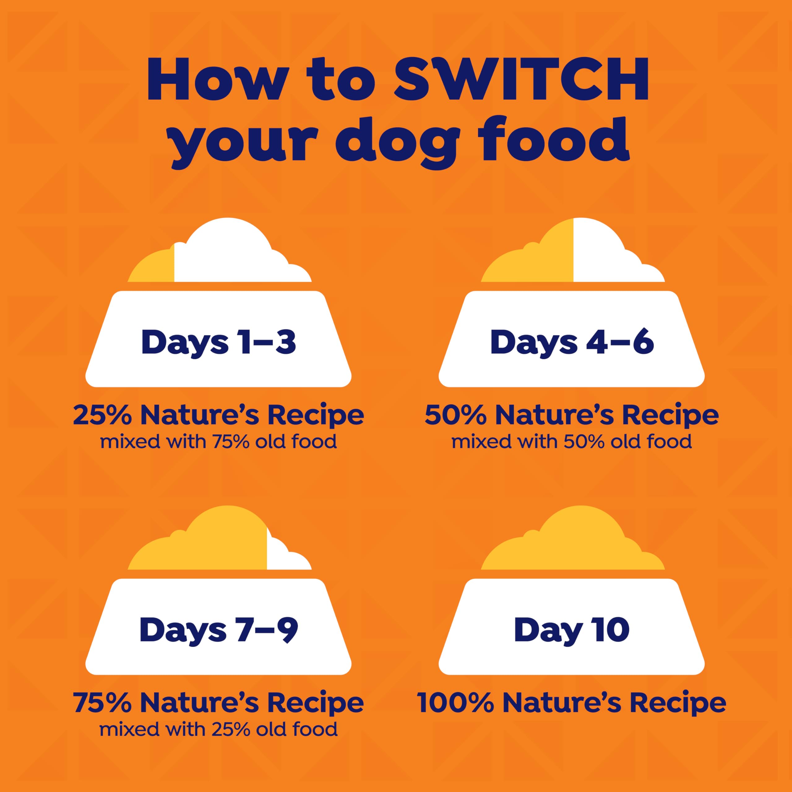 Perro comiendo Nature's Recipe, experiencia sabrosa en la comida diaria.