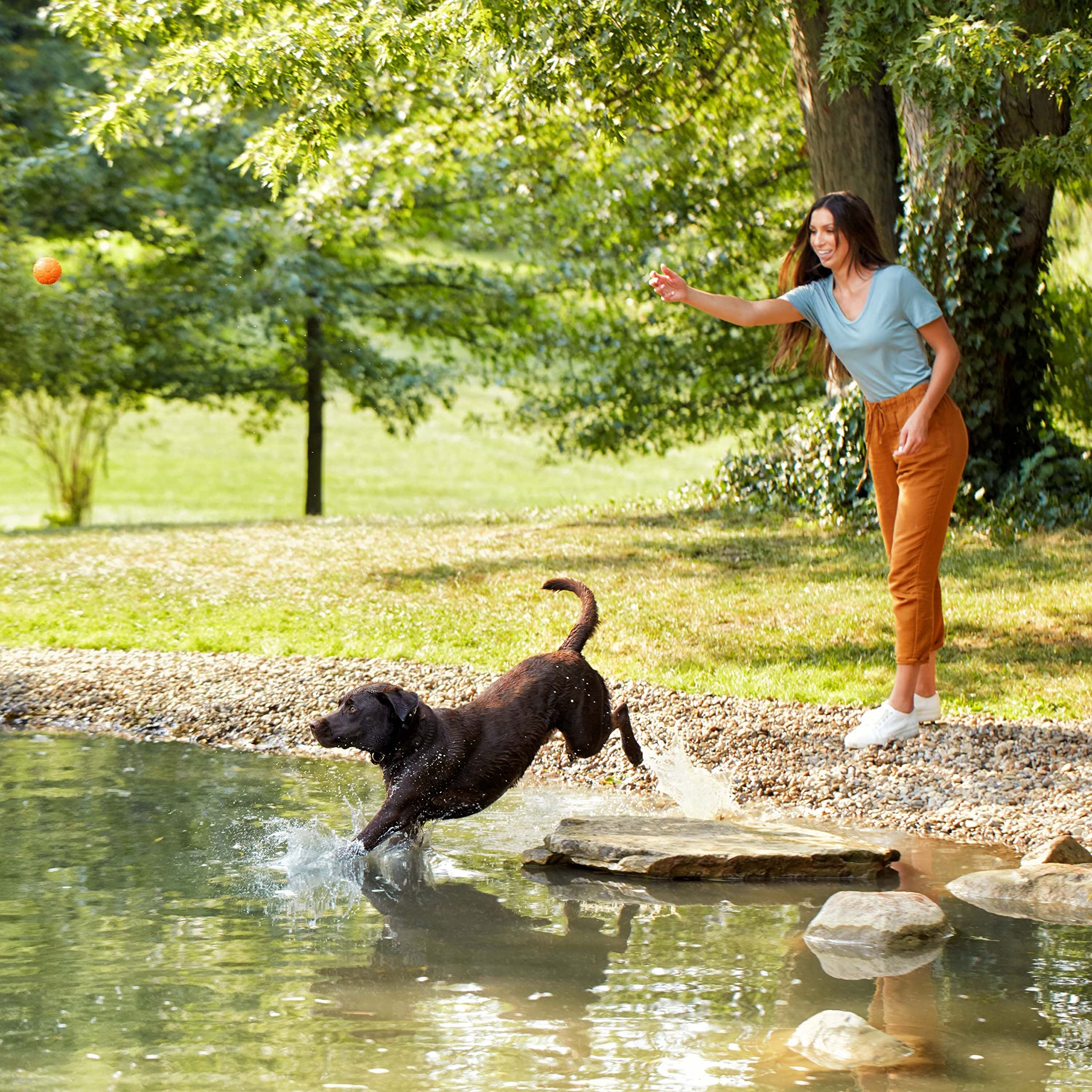 Nature's Recipe sabor natural sin colorantes ni conservantes artificiales