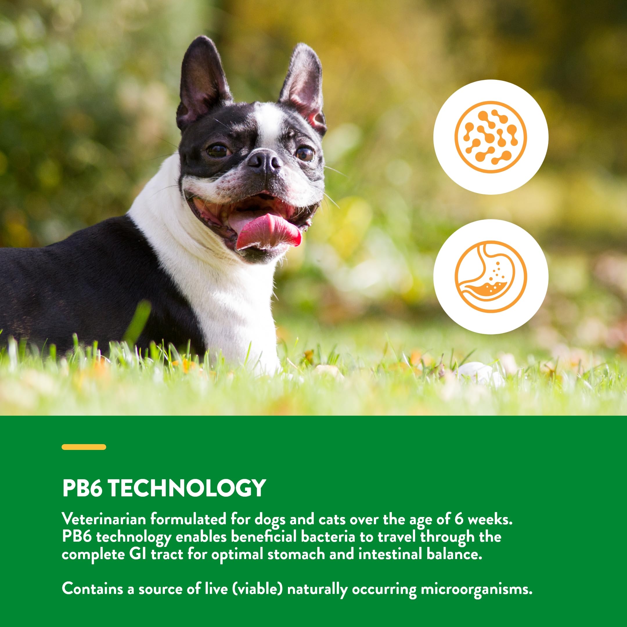 NaturVet apoyo digestivo ante el estrés en mascotas para equilibrio gastrointestinal.