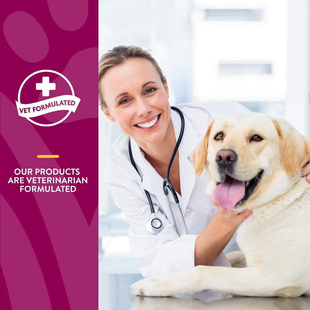 NaturVet ArthriSoothe-Gold aporta ácido hialurónico para hidratación de articulaciones.