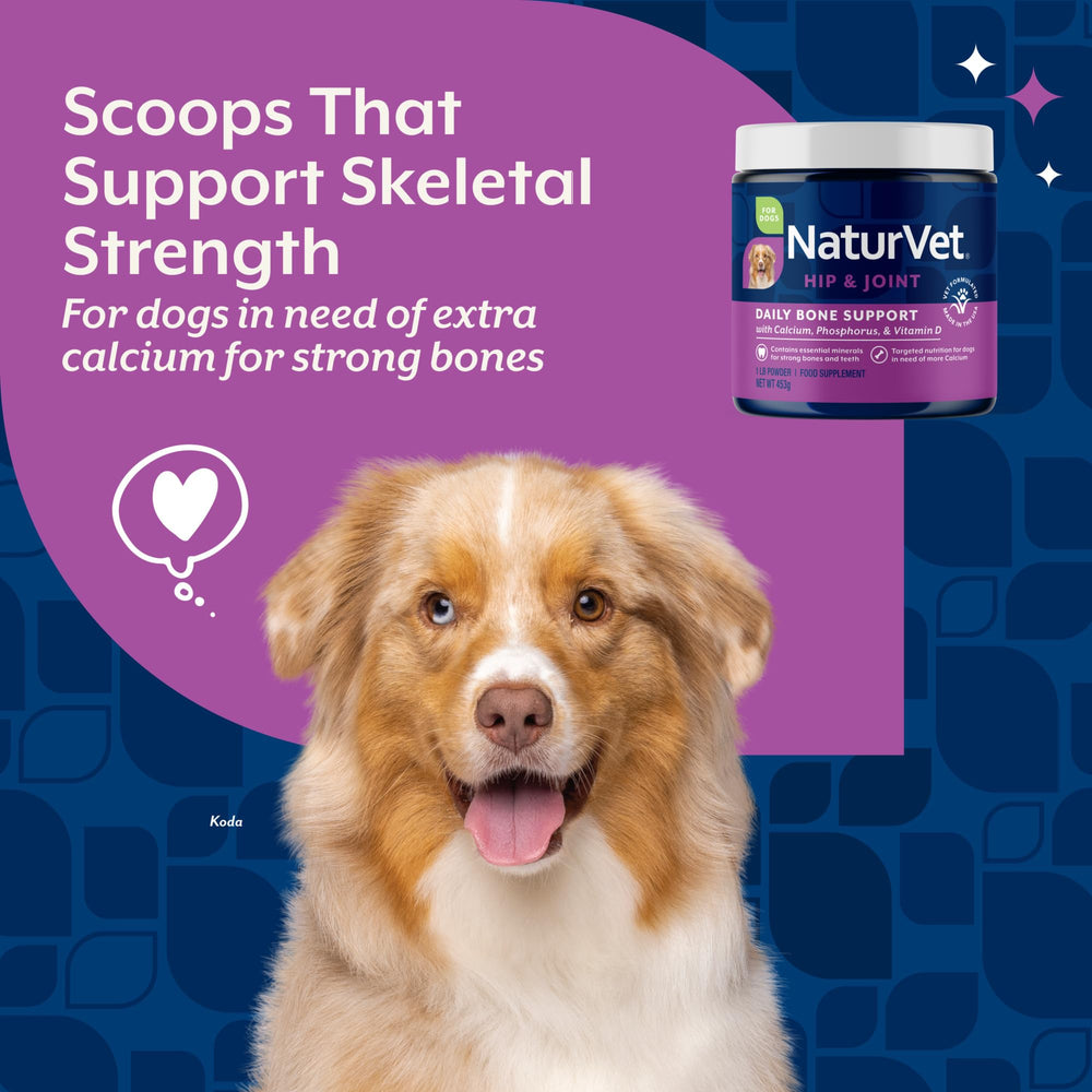 NaturVet calcio-fosforo con vitamina D facilita la absorción de nutrientes