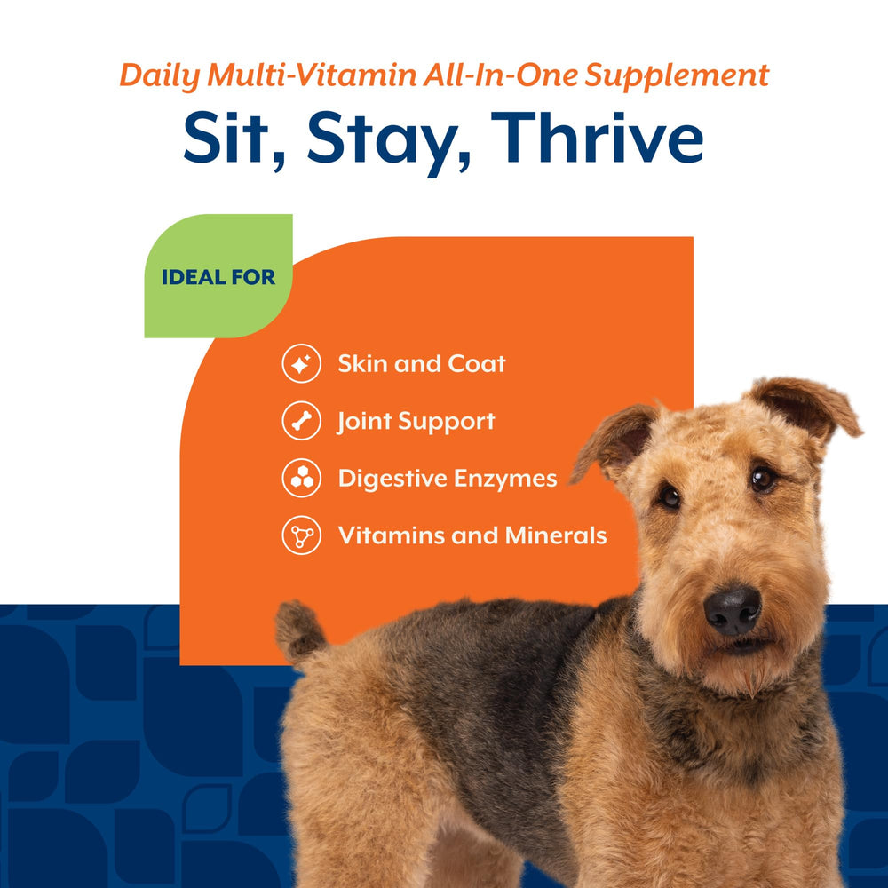NaturVet digestivo: enzimas y probióticos para absorción eficiente