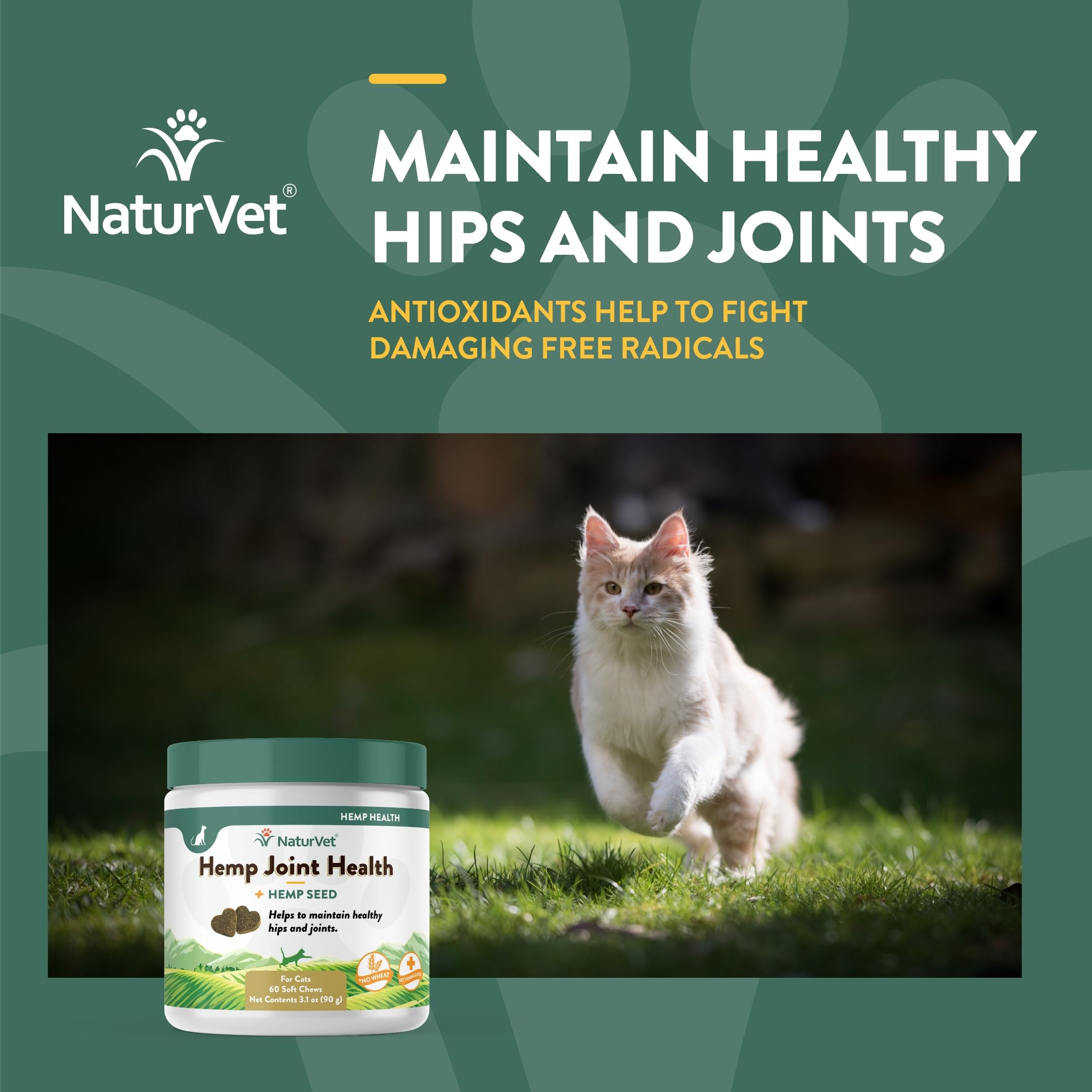 Gato comiendo gomitas NaturVet, experiencia sabrosa y saludable