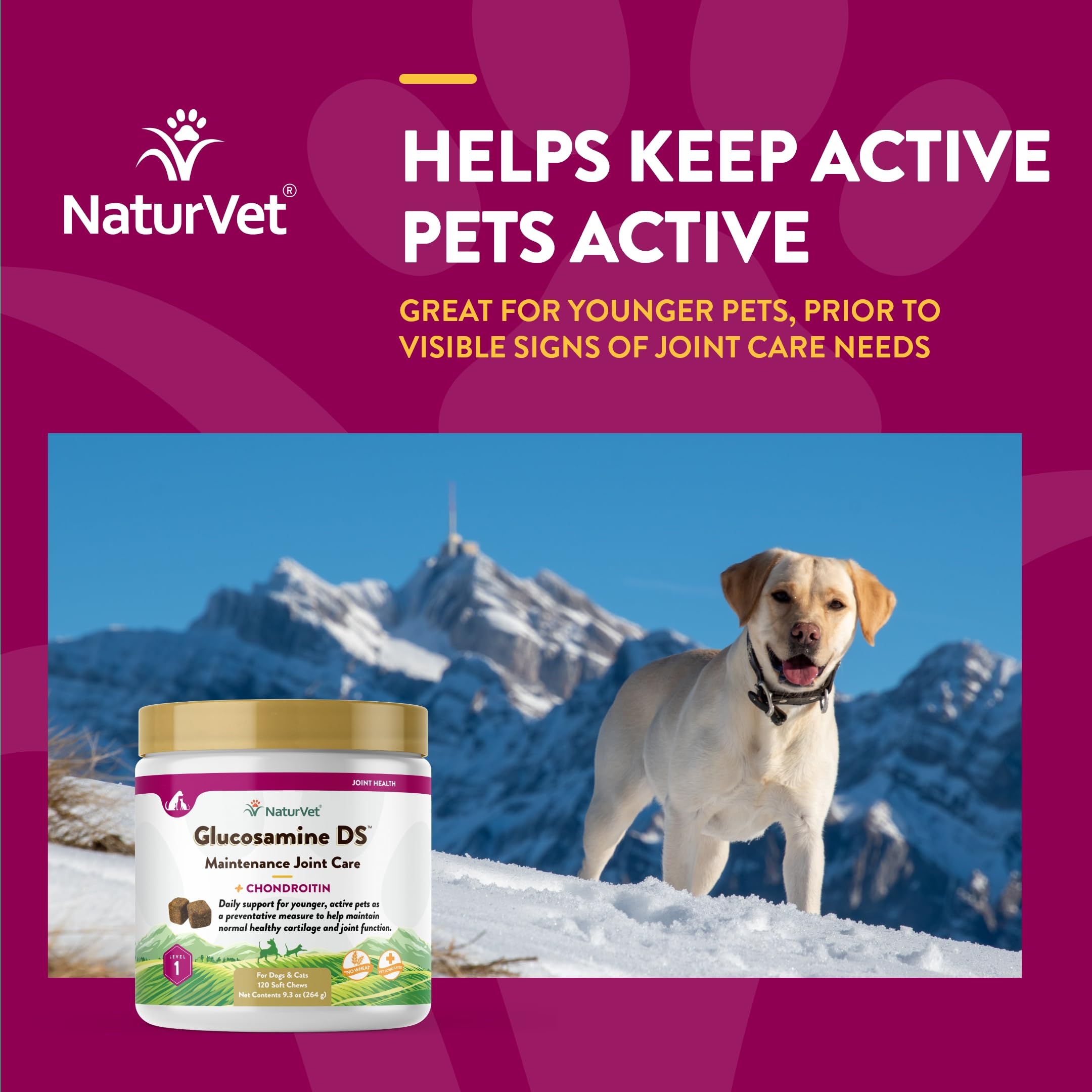 NaturVet Glucosamine DS Nivel 1: ingredientes para movilidad diaria