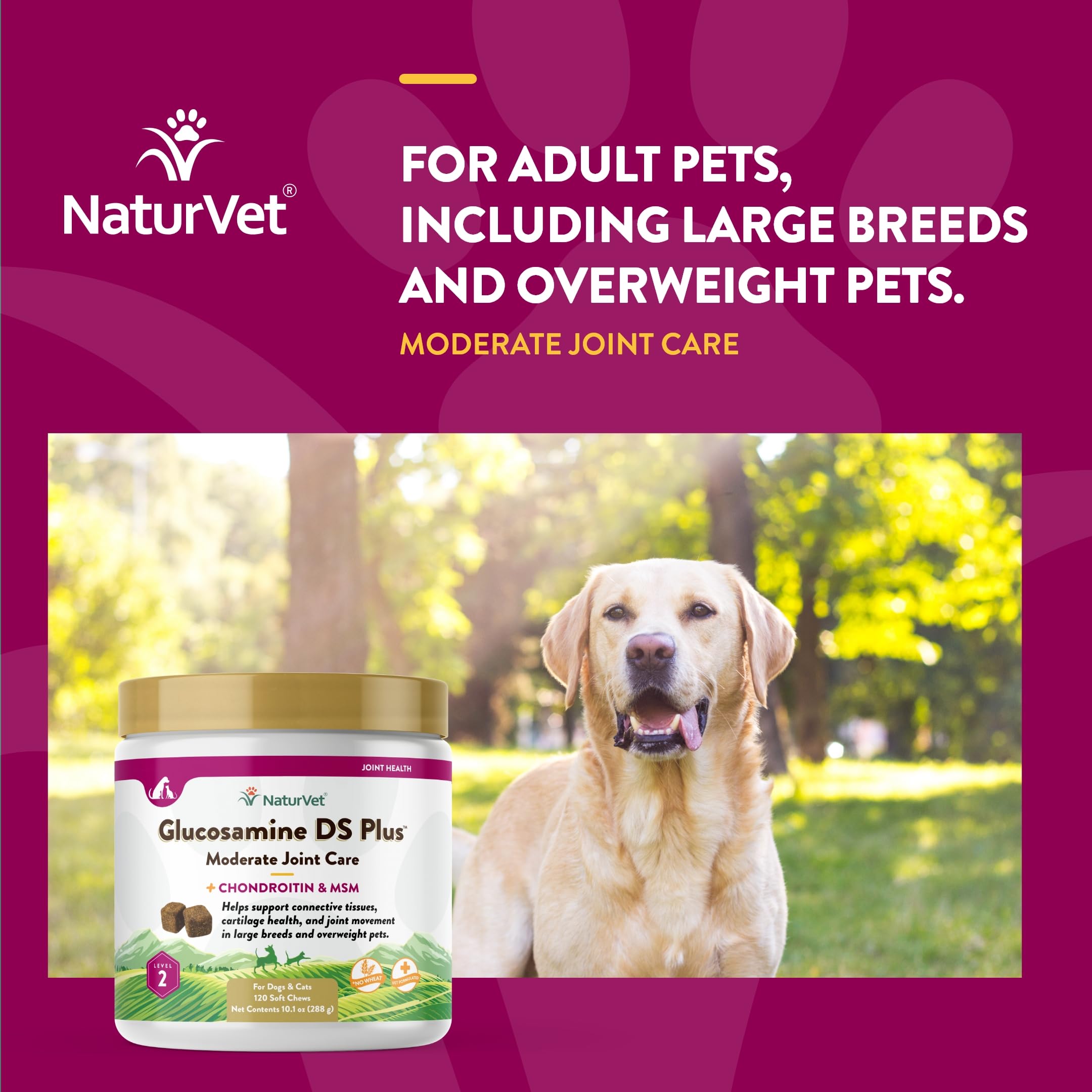 Etiqueta NaturVet Glucosamine DS Plus, fórmula para articulaciones de mascotas.