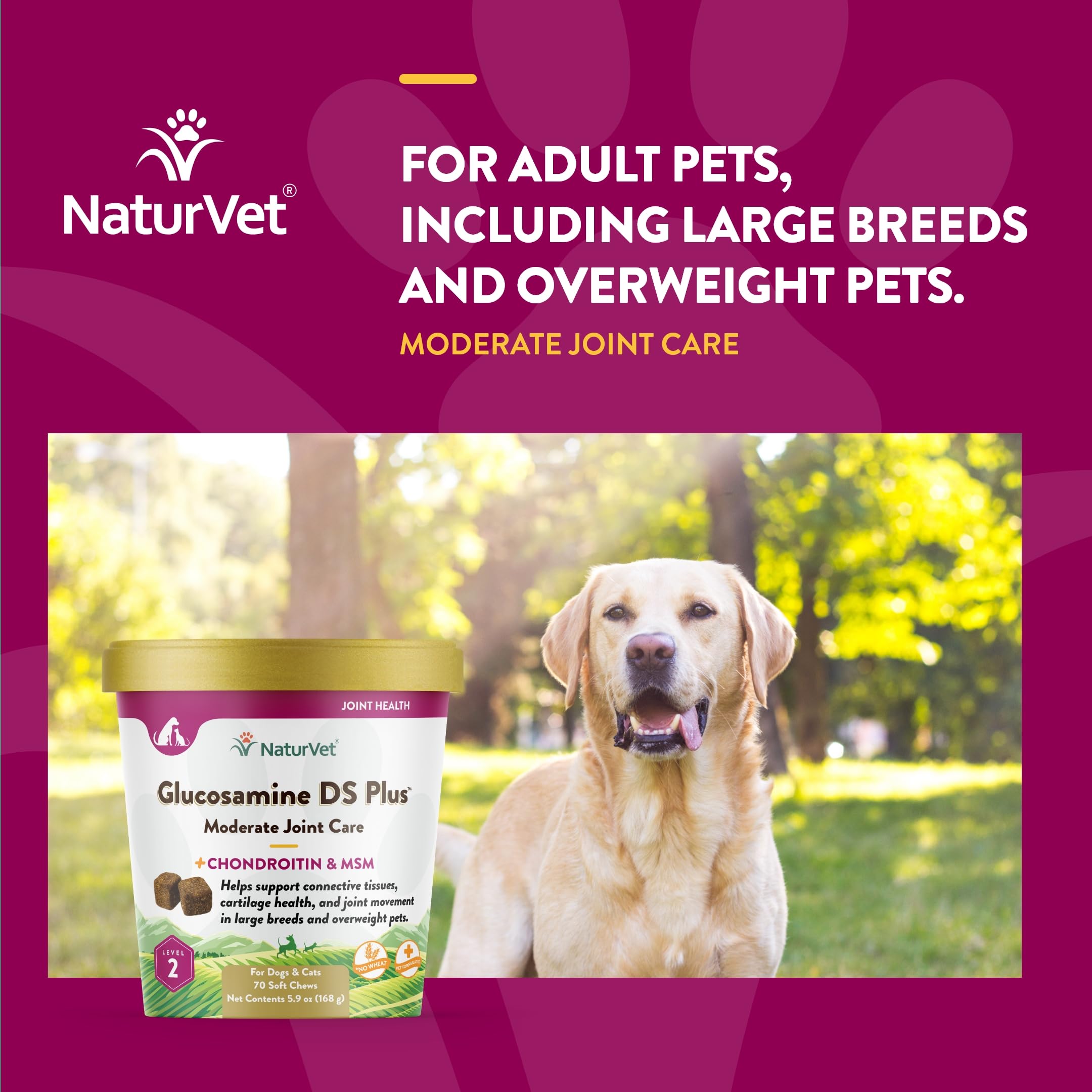 NaturVet Glucosamine DS Plus MSM y antioxidantes para cuidado general