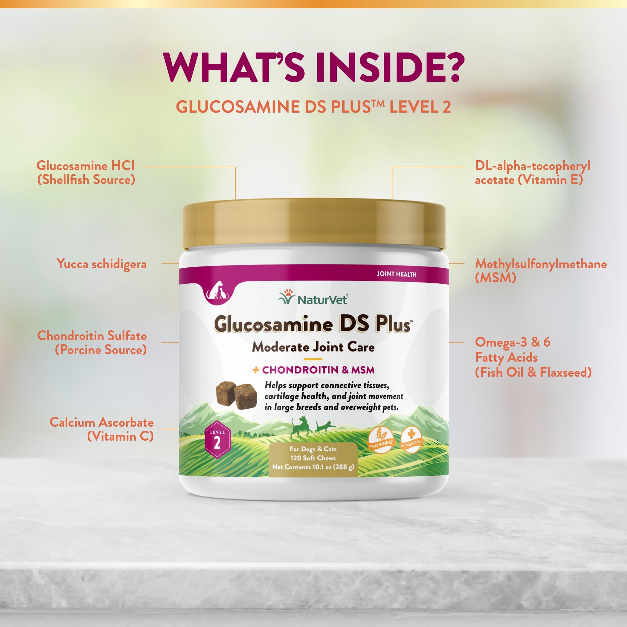 Premios suaves NaturVet Glucosamine DS Plus para perros y gatos.