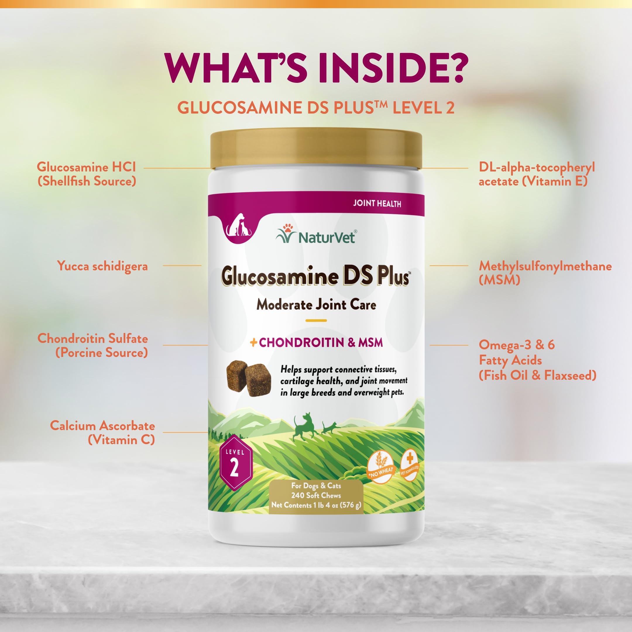 Perro masticando NaturVet Glucosamine DS Plus, apoyo articular