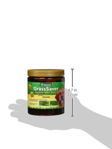 Masticables suaves de GrassSaver para una ingesta agradable y simple.