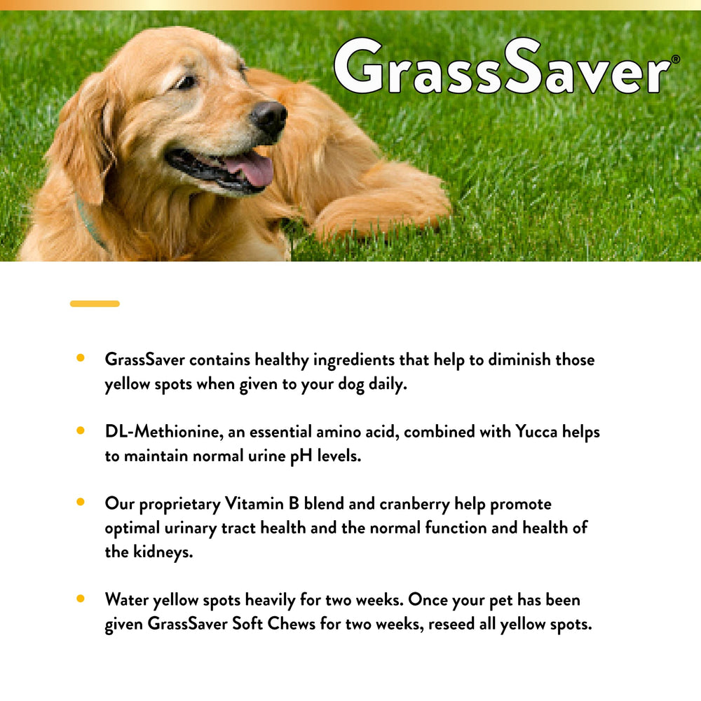 Apto para perros: GrassSaver acompaña la rutina diaria del peludo.