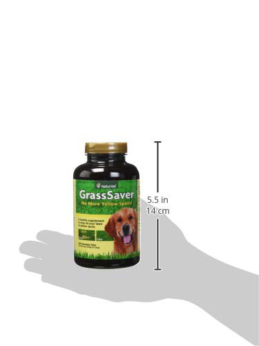 NaturVet GrassSaver: perro en juego junto al césped saludable.