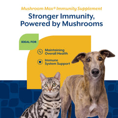 NaturVet Mushroom Max, ingredientes clave, shiitake y reishi para la salud.