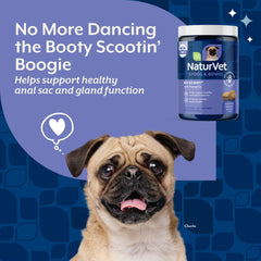 NaturVet No Scoot: ingredientes pulpa de remolacha y psyllium