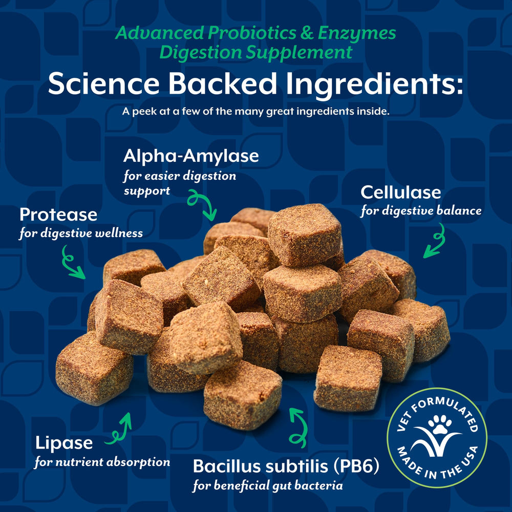 Composición NaturVet PB6: enzimas y probióticos clave para la digestión.