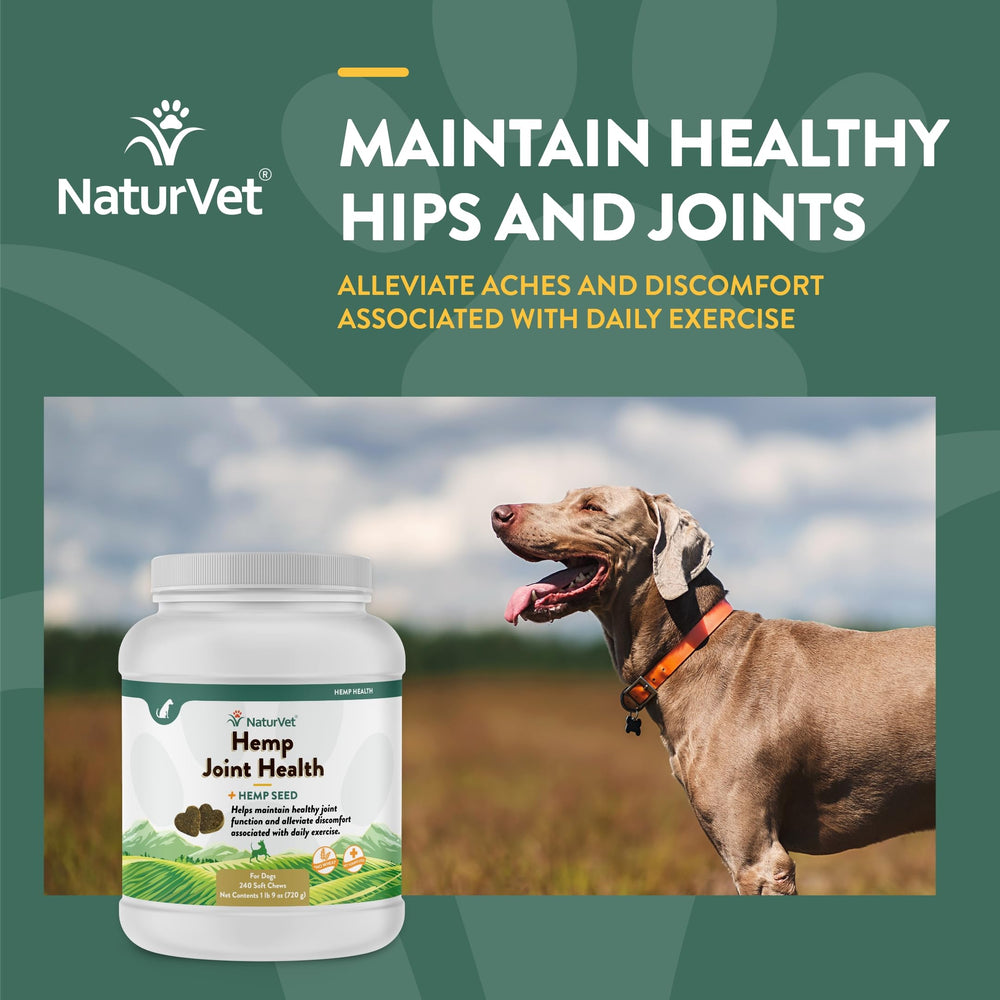 NaturVet Salud de Articulaciones con Cáñamo: perro activo tras usar las golosinas.