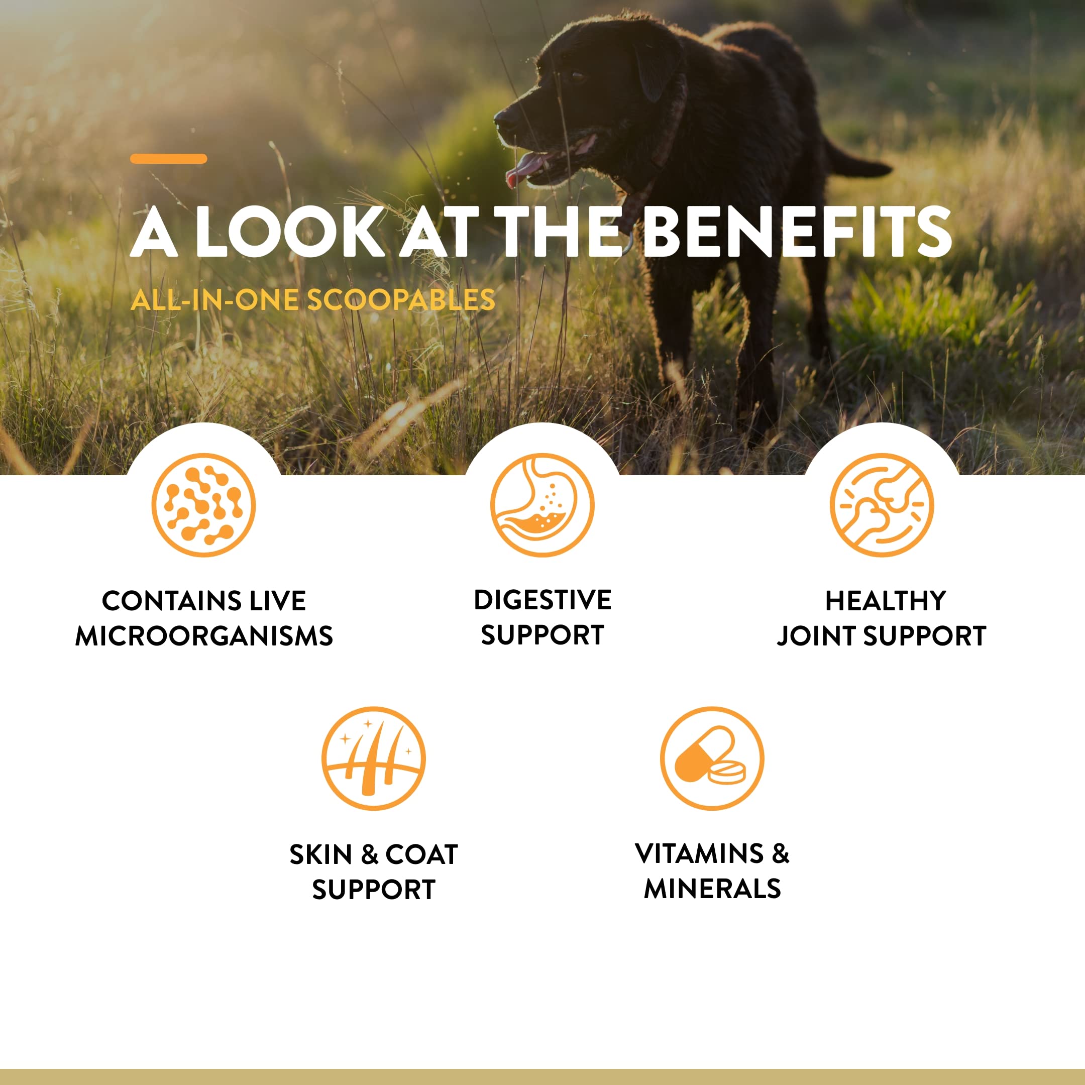 Omega-3-6-9 en NaturVet Scoopables para piel y pelaje saludables.