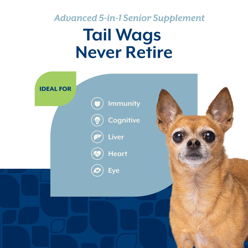 NaturVet Senior Advanced 5-en-1, ingredientes como ginkgo biloba y luteína