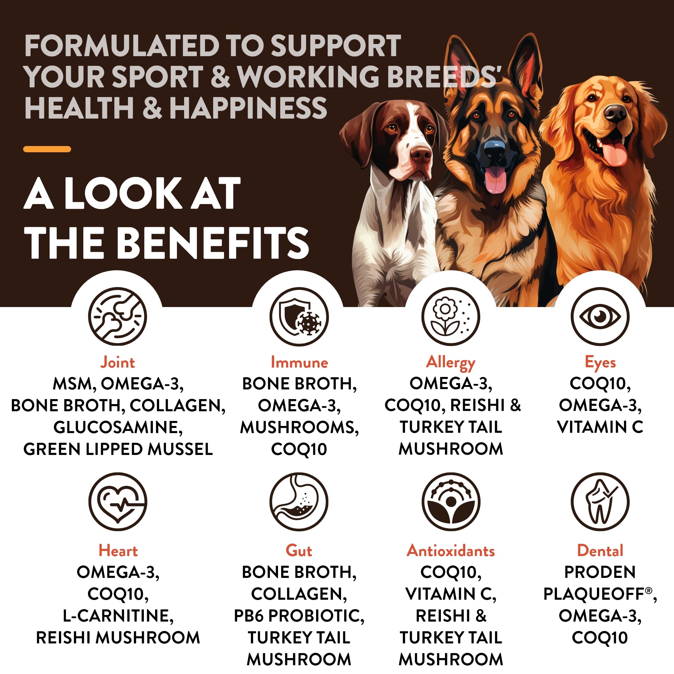 NaturVet Sport: gomitas blandas para perros, con sabor agradable y uso diario