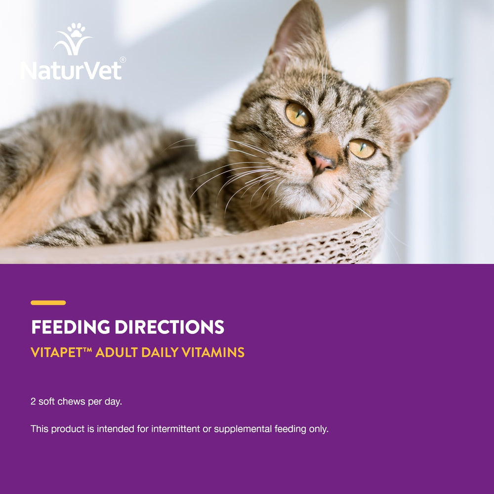 NaturVet VitaPet Senior sin trigo para gatos sensibles.