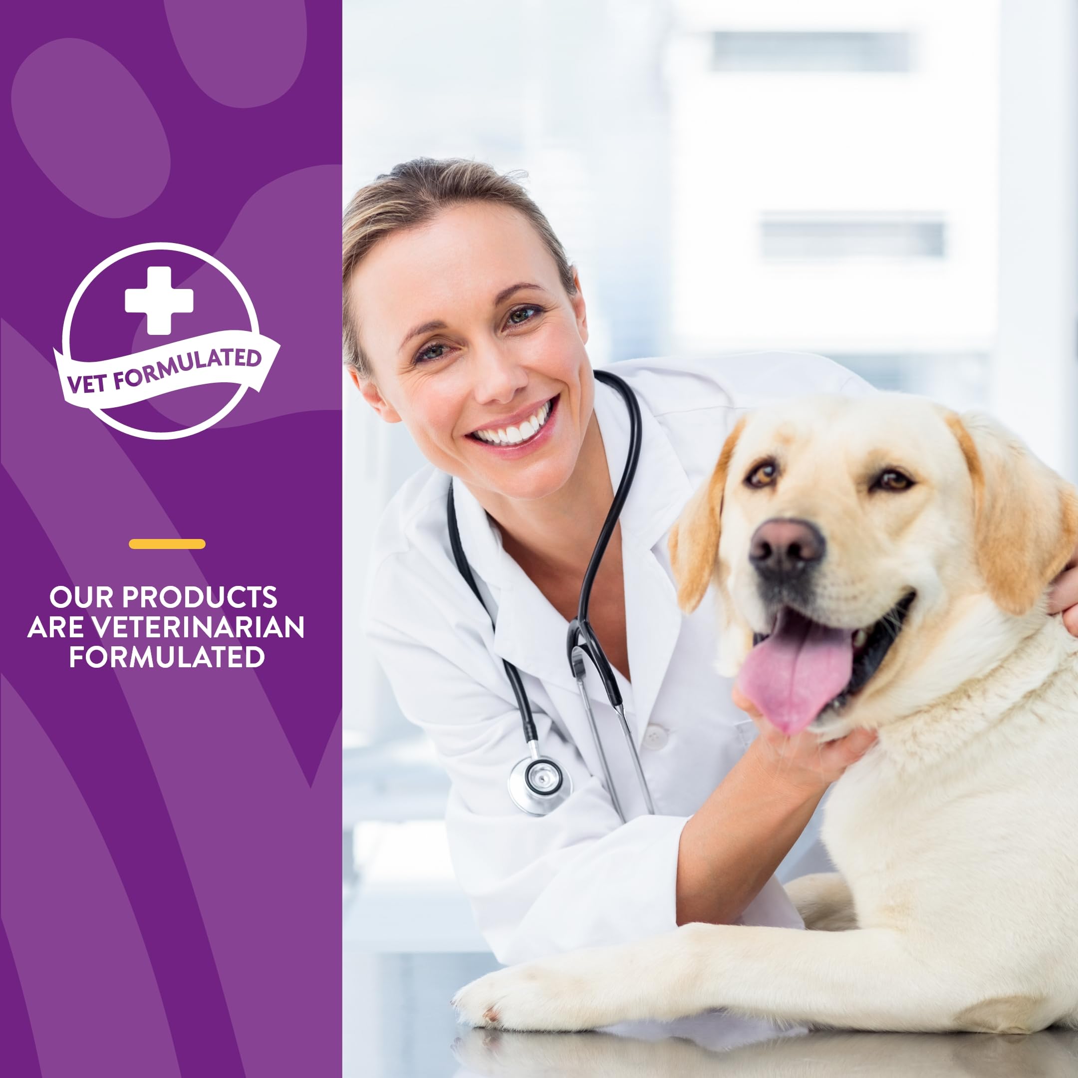 NaturVet VitaPet Senior Uso Diario complemento recomendado